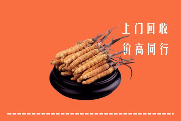 高价求购：临汾回收散虫草