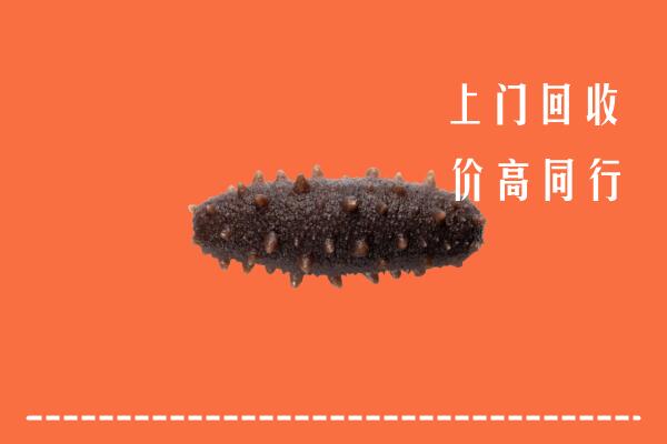 临汾回收海参